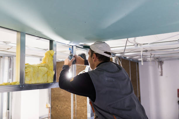 Best Insulation Maintenance and Repair in Lamar, CO